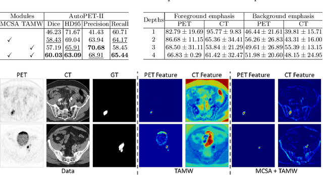 Figure 4 for H2ASeg: Hierarchical Adaptive Interaction and Weighting Network for Tumor Segmentation in PET/CT Images