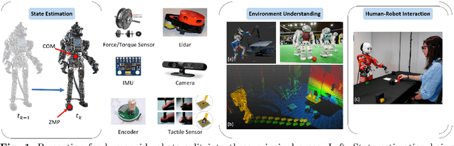 Figure 1 for Perception for Humanoid Robots