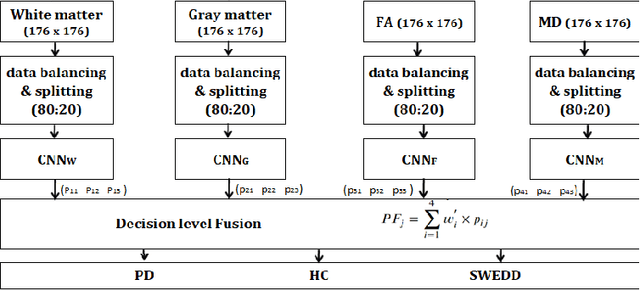 Figure 1 for Multi-modal multi-class Parkinson disease classification using CNN and decision level fusion