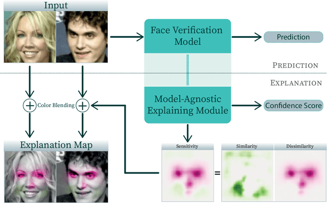 Figure 1 for Explainable Model-Agnostic Similarity and Confidence in Face Verification