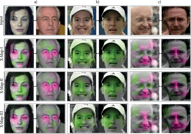 Figure 4 for Explainable Model-Agnostic Similarity and Confidence in Face Verification