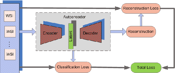 Figure 3 for A Deep Learning-based Compression and Classification Technique for Whole Slide Histopathology Images
