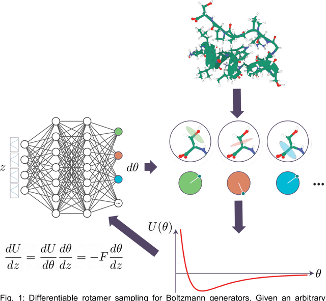 Figure 1 for Differentiable Rotamer Sampling with Molecular Force Fields