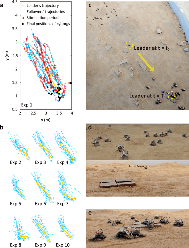 Figure 3 for Natural-artificial hybrid swarm: Cyborg-insect group navigation in unknown obstructed soft terrain