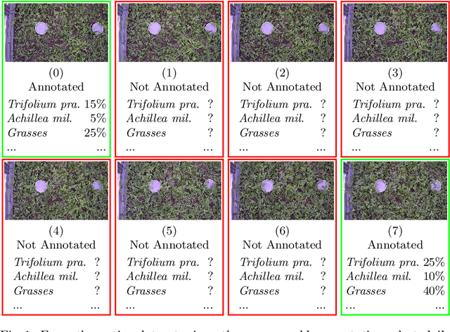 Figure 1 for Improving Data Efficiency for Plant Cover Prediction with Label Interpolation and Monte-Carlo Cropping