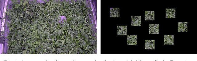 Figure 3 for Improving Data Efficiency for Plant Cover Prediction with Label Interpolation and Monte-Carlo Cropping