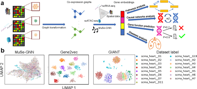 Figure 1 for MuSe-GNN: Learning Unified Gene Representation From Multimodal Biological Graph Data