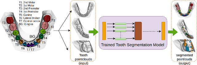 Figure 1 for A Critical Analysis of the Limitation of Deep Learning based 3D Dental Mesh Segmentation Methods in Segmenting Partial Scans