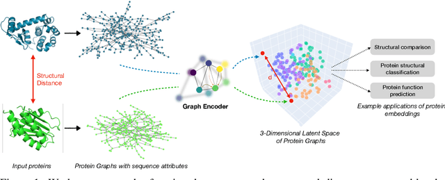 Figure 1 for Neural Embeddings for Protein Graphs