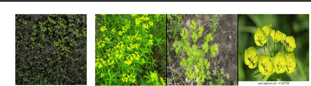 Figure 4 for Effective Data Augmentation With Diffusion Models