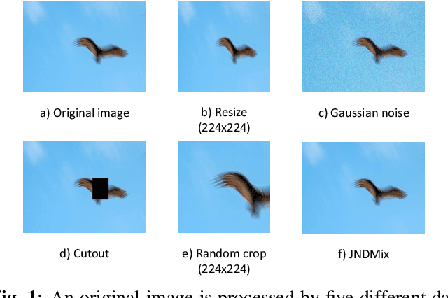 Figure 1 for JNDMix: JND-Based Data Augmentation for No-reference Image Quality Assessment