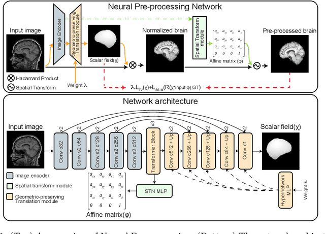 Figure 1 for Neural Pre-Processing: A Learning Framework for End-to-end Brain MRI Pre-processing