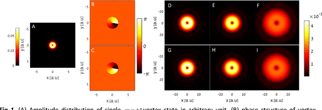 Figure 1 for Phase Retrieval of Vortices in Bose-Einstein Condensates