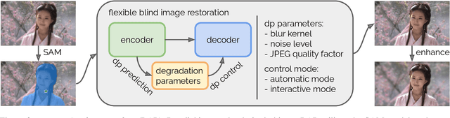 Figure 2 for Restore Anything Pipeline: Segment Anything Meets Image Restoration
