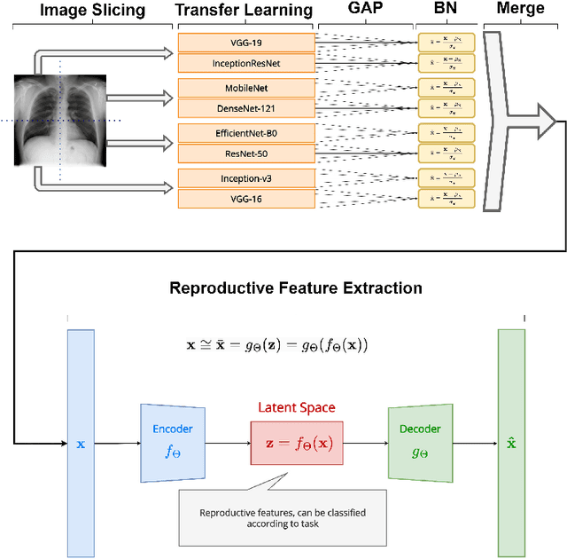 Figure 1 for Deep reproductive feature generation framework for the diagnosis of COVID-19 and viral pneumonia using chest X-ray images