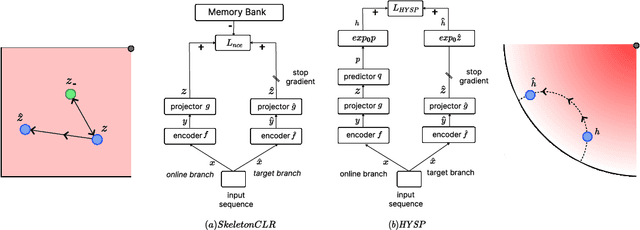 Figure 1 for HYperbolic Self-Paced Learning for Self-Supervised Skeleton-based Action Representations