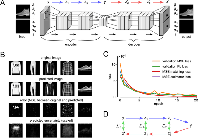 Figure 3 for Block-local learning with probabilistic latent representations