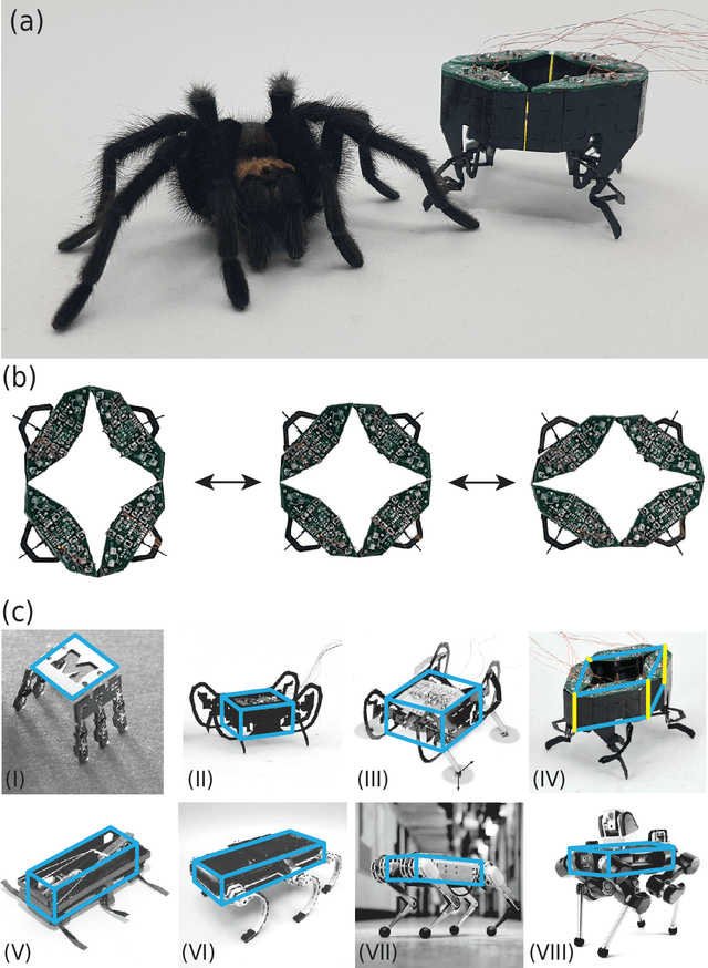 Figure 1 for Design of CLARI: A miniature modular origami passive shape-morphing robot