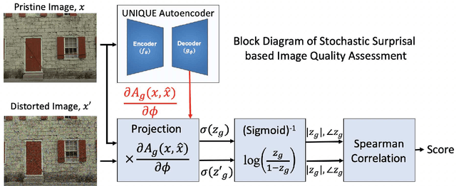 Figure 3 for Stochastic Surprisal: An inferential measurement of Free Energy in Neural Networks