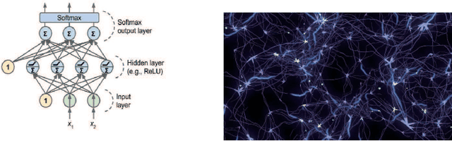 Figure 1 for Transforming to Yoked Neural Networks to Improve ANN Structure