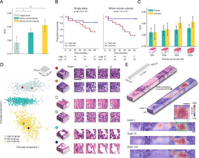 Figure 2 for Weakly Supervised AI for Efficient Analysis of 3D Pathology Samples