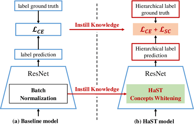 Figure 3 for Hierarchical Semantic Tree Concept Whitening for Interpretable Image Classification