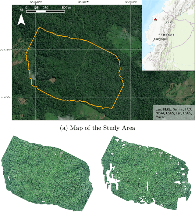 Figure 1 for PalmProbNet: A Probabilistic Approach to Understanding Palm Distributions in Ecuadorian Tropical Forest via Transfer Learning