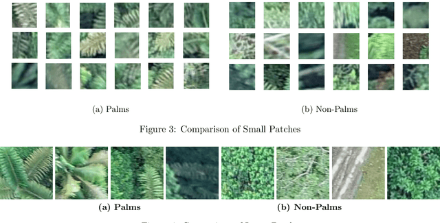 Figure 4 for PalmProbNet: A Probabilistic Approach to Understanding Palm Distributions in Ecuadorian Tropical Forest via Transfer Learning