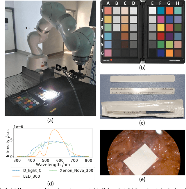 Figure 1 for Synthetic white balancing for intra-operative hyperspectral imaging