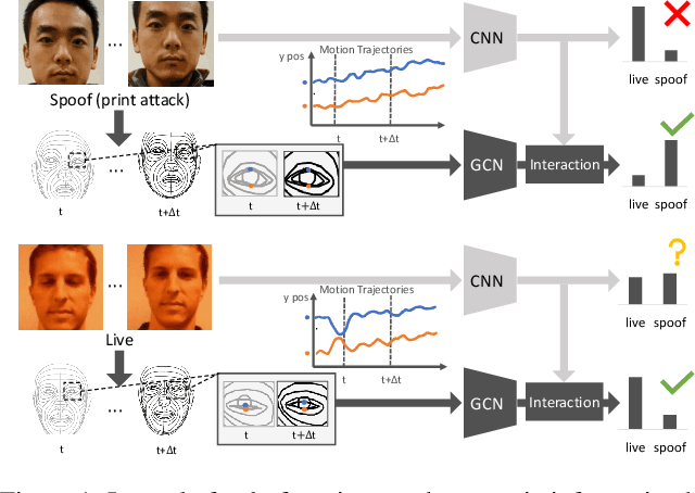 Figure 1 for A Closer Look at Geometric Temporal Dynamics for Face Anti-Spoofing