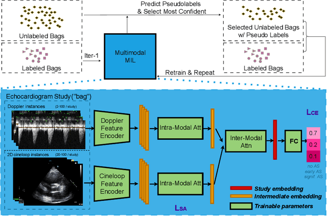 Figure 1 for Semi-Supervised Multimodal Multi-Instance Learning for Aortic Stenosis Diagnosis