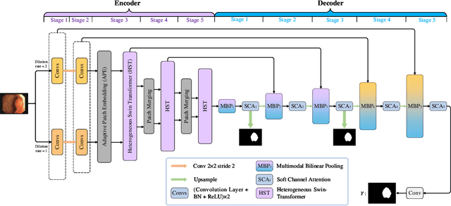 Figure 1 for HST-MRF: Heterogeneous Swin Transformer with Multi-Receptive Field for Medical Image Segmentation