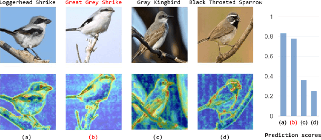 Figure 1 for Semantic Feature Integration network for Fine-grained Visual Classification