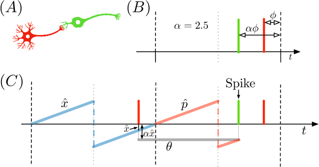 Figure 4 for Hyperdimensional Computing with Spiking-Phasor Neurons