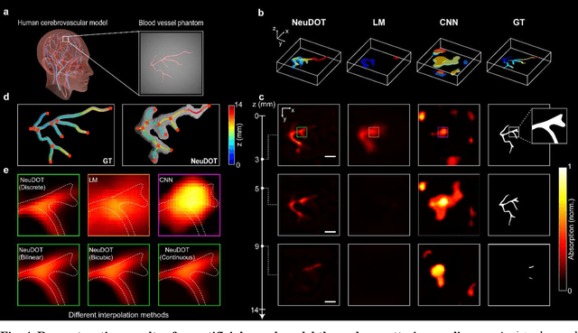 Figure 4 for High-resolution tomographic reconstruction of optical absorbance through scattering media using neural fields