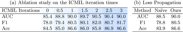 Figure 2 for Iteratively Coupled Multiple Instance Learning from Instance to Bag Classifier for Whole Slide Image Classification