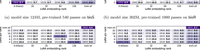 Figure 2 for Physics of Language Models: Part 3.1, Knowledge Storage and Extraction