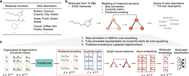 Figure 1 for Mol-PECO: a deep learning model to predict human olfactory perception from molecular structures