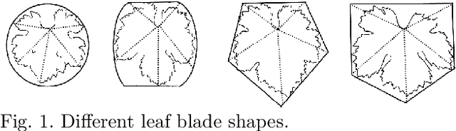 Figure 1 for Semantic Image Segmentation with Deep Learning for Vine Leaf Phenotyping