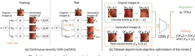 Figure 1 for Disease Severity Regression with Continuous Data Augmentation