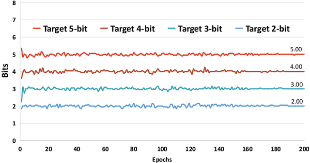 Figure 3 for CSQ: Growing Mixed-Precision Quantization Scheme with Bi-level Continuous Sparsification