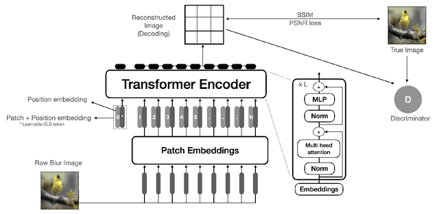 Figure 1 for Image Reconstruction using Enhanced Vision Transformer