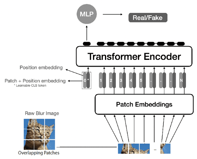 Figure 3 for Image Reconstruction using Enhanced Vision Transformer