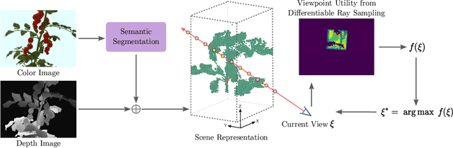 Figure 1 for Gradient-based Local Next-best-view Planning for Improved Perception of Targeted Plant Nodes