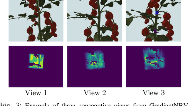 Figure 3 for Gradient-based Local Next-best-view Planning for Improved Perception of Targeted Plant Nodes