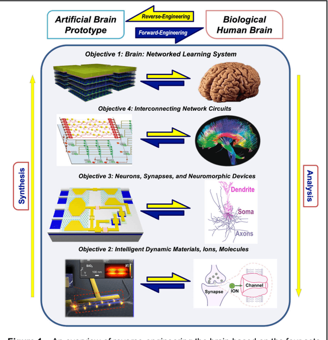 Figure 1 for Towards Reverse-Engineering the Brain: Brain-Derived Neuromorphic Computing Approach with Photonic, Electronic, and Ionic Dynamicity in 3D integrated circuits