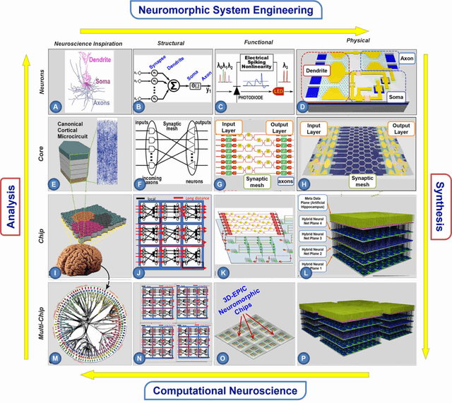 Figure 3 for Towards Reverse-Engineering the Brain: Brain-Derived Neuromorphic Computing Approach with Photonic, Electronic, and Ionic Dynamicity in 3D integrated circuits