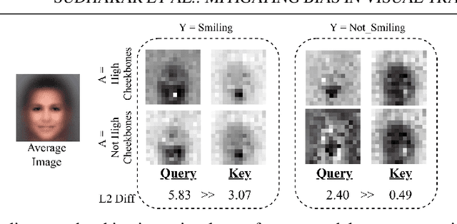 Figure 1 for Mitigating Bias in Visual Transformers via Targeted Alignment