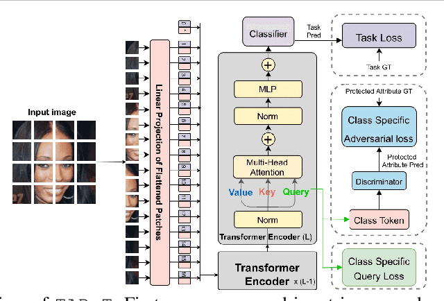 Figure 3 for Mitigating Bias in Visual Transformers via Targeted Alignment