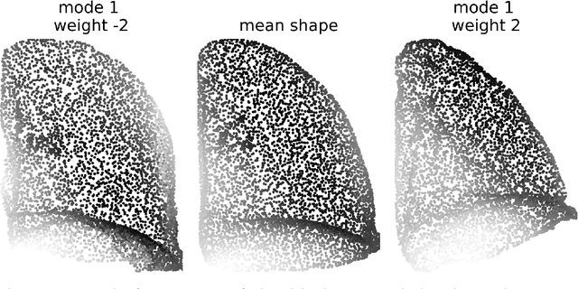 Figure 3 for pyssam -- a Python library for statistical modelling of biomedical shape and appearance